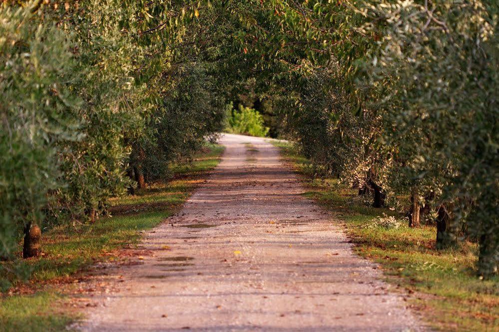 Agriturismo Casagrande Montepulciano Stazione Eksteriør billede